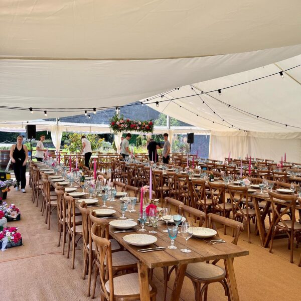 305971737_508112167988520_416057650760790639_n marquee event